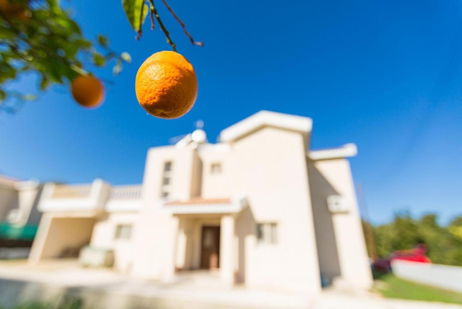 Villa Clementina Kato Yialia Екстериор снимка
